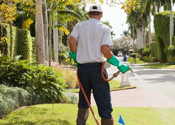 About Ozone AR Pest Control Pros
